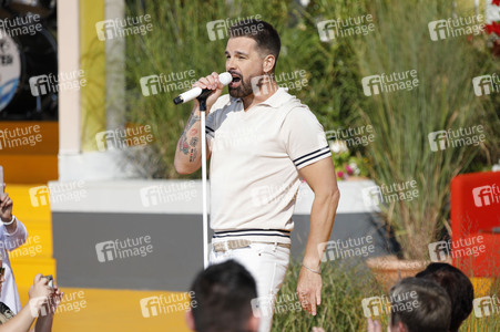 TV Show 'Immer wieder sonntags' in Rust