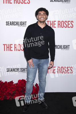 Filmpremiere 'Die Rosenschlacht' in New York
