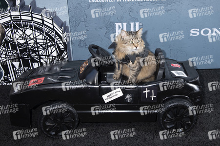 Filmpremiere 'Caught Stealing' in New York