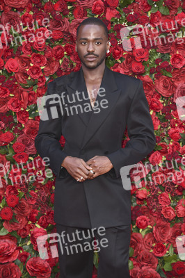 Filmpremiere 'Die Rosenschlacht' in London