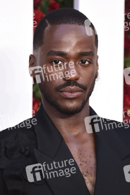 Filmpremiere 'Die Rosenschlacht' in London