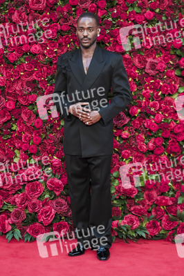 Filmpremiere 'Die Rosenschlacht' in London