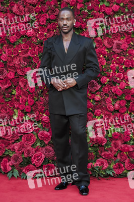 Filmpremiere 'Die Rosenschlacht' in London