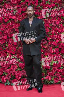 Filmpremiere 'Die Rosenschlacht' in London