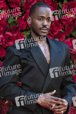 Filmpremiere 'Die Rosenschlacht' in London