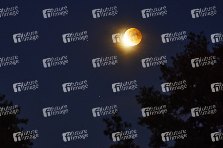 Mondfinsternis mit Blutmond über Hannover