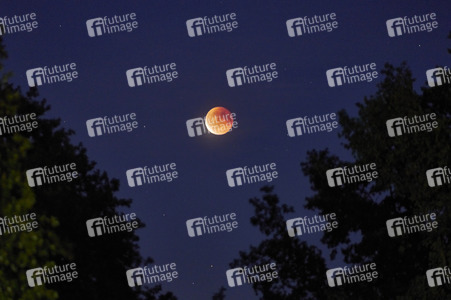 Mondfinsternis mit Blutmond über Hannover