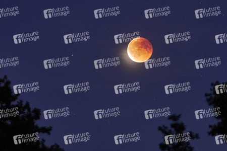 Mondfinsternis mit Blutmond über Hannover