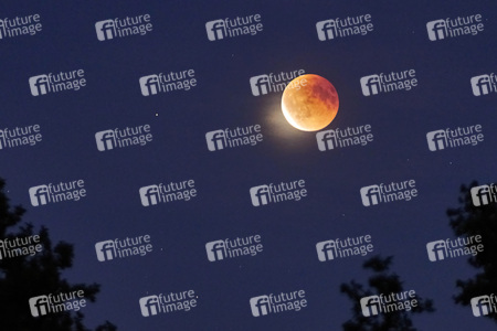 Mondfinsternis mit Blutmond über Hannover