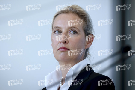 Fraktionssitzung der AfD-Bundestagsfraktion in Berlin