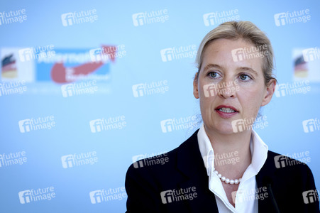 Fraktionssitzung der AfD-Bundestagsfraktion in Berlin