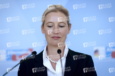 Fraktionssitzung der AfD-Bundestagsfraktion in Berlin