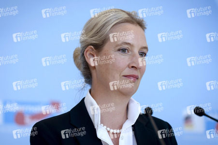 Fraktionssitzung der AfD-Bundestagsfraktion in Berlin