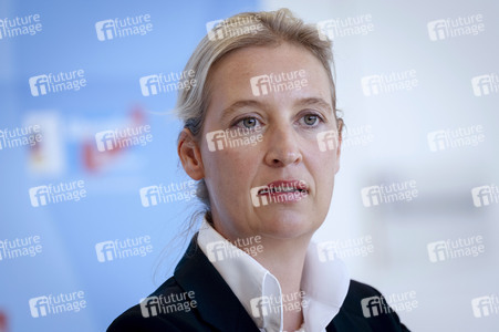 Fraktionssitzung der AfD-Bundestagsfraktion in Berlin