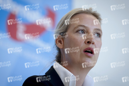Fraktionssitzung der AfD-Bundestagsfraktion in Berlin
