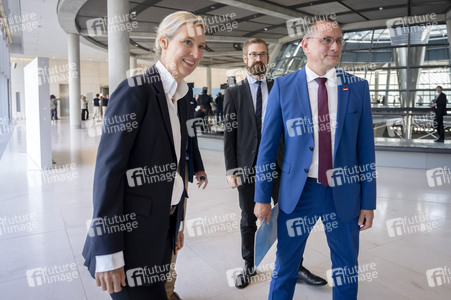 Fraktionssitzung der AfD-Bundestagsfraktion in Berlin