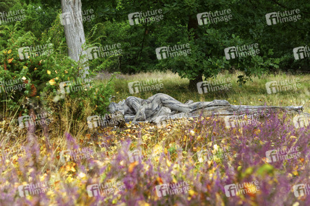 NATURE ART: Heideherbst / Heather Autumn Bodypainting