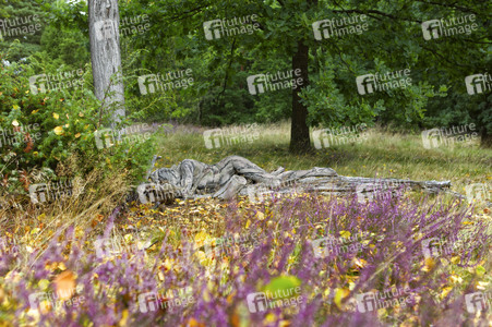 NATURE ART: Heideherbst / Heather Autumn Bodypainting