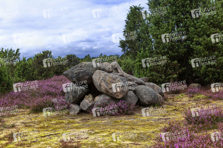 NATURE ART: Heideherbst / Heather Autumn Bodypainting