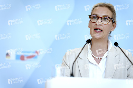 Fraktionssitzung der AfD-Bundestagsfraktion in Berlin