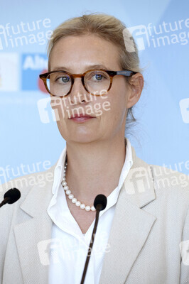 Fraktionssitzung der AfD-Bundestagsfraktion in Berlin