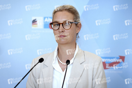 Fraktionssitzung der AfD-Bundestagsfraktion in Berlin