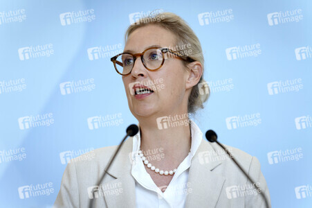 Fraktionssitzung der AfD-Bundestagsfraktion in Berlin