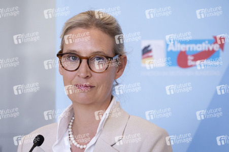 Fraktionssitzung der AfD-Bundestagsfraktion in Berlin