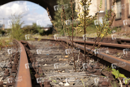 Stillgelegte Eisenbahngleise in Köln