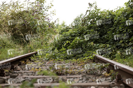 Stillgelegte Eisenbahngleise in Köln