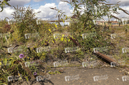 Stillgelegte Eisenbahngleise in Köln