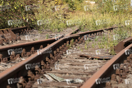 Stillgelegte Eisenbahngleise in Köln