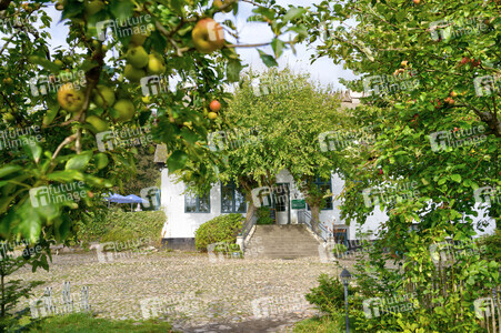 Drehort 'Der Landarzt' in Boren