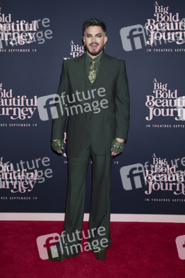 Filmpremiere 'A Big Bold Beautiful Journey' in New York