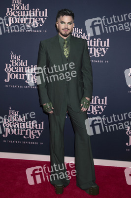 Filmpremiere 'A Big Bold Beautiful Journey' in New York