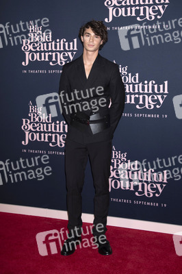 Filmpremiere 'A Big Bold Beautiful Journey' in New York