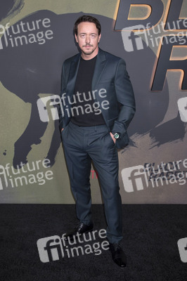 Serienpremiere 'Black Rabbit' in New York