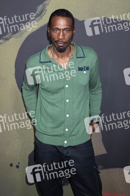 Serienpremiere 'Black Rabbit' in New York