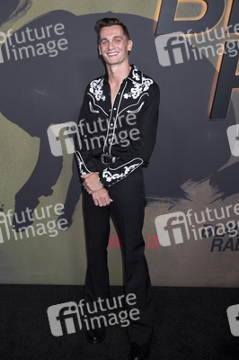 Serienpremiere 'Black Rabbit' in New York