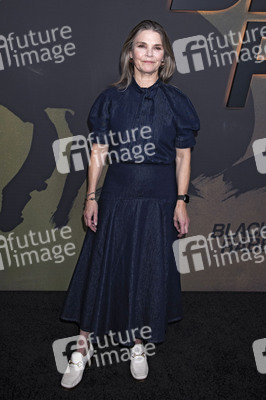 Serienpremiere 'Black Rabbit' in New York