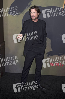 Serienpremiere 'Black Rabbit' in New York