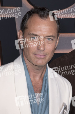 Serienpremiere 'Black Rabbit' in New York