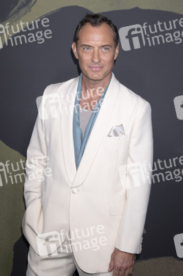 Serienpremiere 'Black Rabbit' in New York