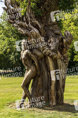 NATURE ART: Akazie / Acacia Bodypainting