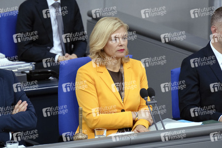 25. Sitzung des Deutschen Bundestages in Berlin