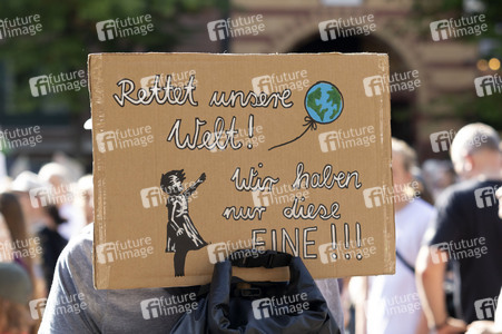 Bundesweiter Klimastreik von Fridays for Future in Hamburg