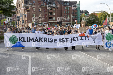 Bundesweiter Klimastreik von Fridays for Future in Hamburg