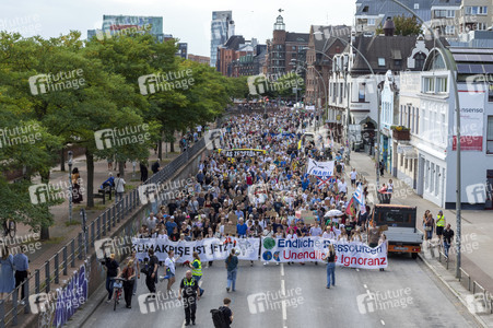 Bundesweiter Klimastreik von Fridays for Future in Hamburg