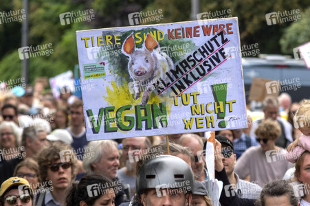 Bundesweiter Klimastreik von Fridays for Future in Hamburg