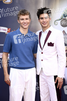 Filmpremiere 'Die Schule der magischen Tiere 4' in Berlin